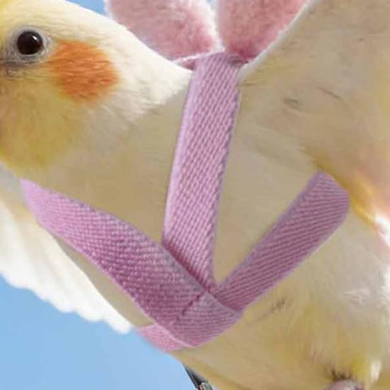 Bird Flight Harness with Leash Adjustable Parrot Flying Harness Cute Angel Wings Harness for Parrots Pigeons Lovebird Budgerigar Cockatiel