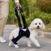 Dog Hind Leg Auxiliary Harness Senior Dogs Rehabilitation Assist Strap Adjustable Breathable Injured Dogs Lifting Strap