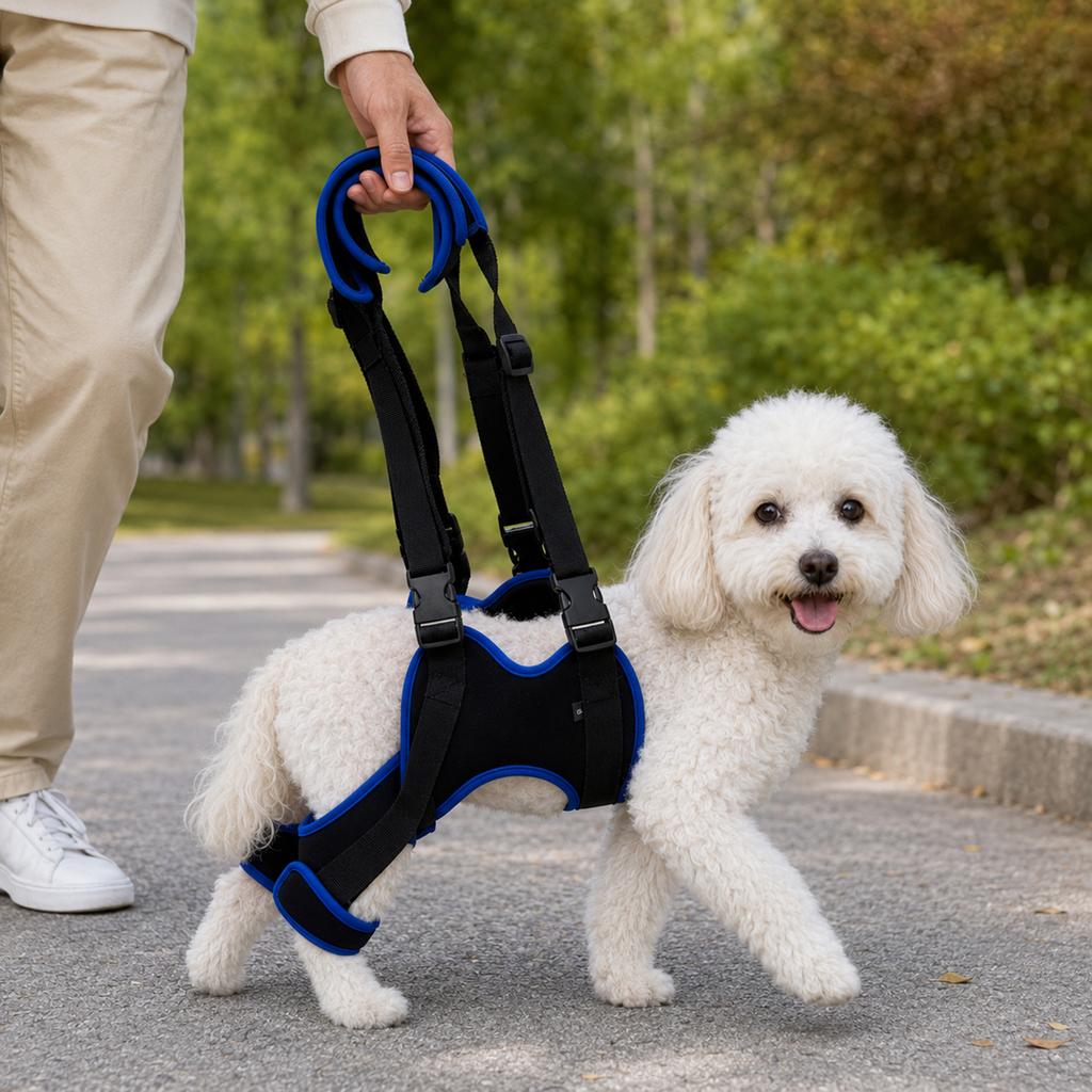 Dog Hind Leg Auxiliary Harness Senior Dogs Rehabilitation Assist Strap Adjustable Breathable Injured Dogs Lifting Strap