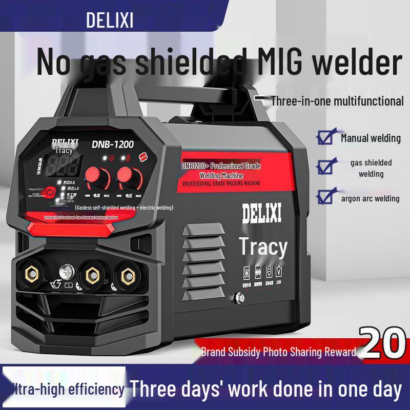 Delixi Multipurpose Gasless MIG/TIG Household & Industrial Welder Set