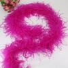 DIY 6 Layer Ostrich Feathers Boa Wedding Accessories Plumas De Faisan 2 Meters Clothing Plume Art and Craft Supplies Party Dresses