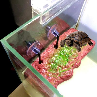 1 Set Tortoise Terrace Floating Island Design Simple Installing Bakelite Amphibian Climbing Platform for Fish Bowl