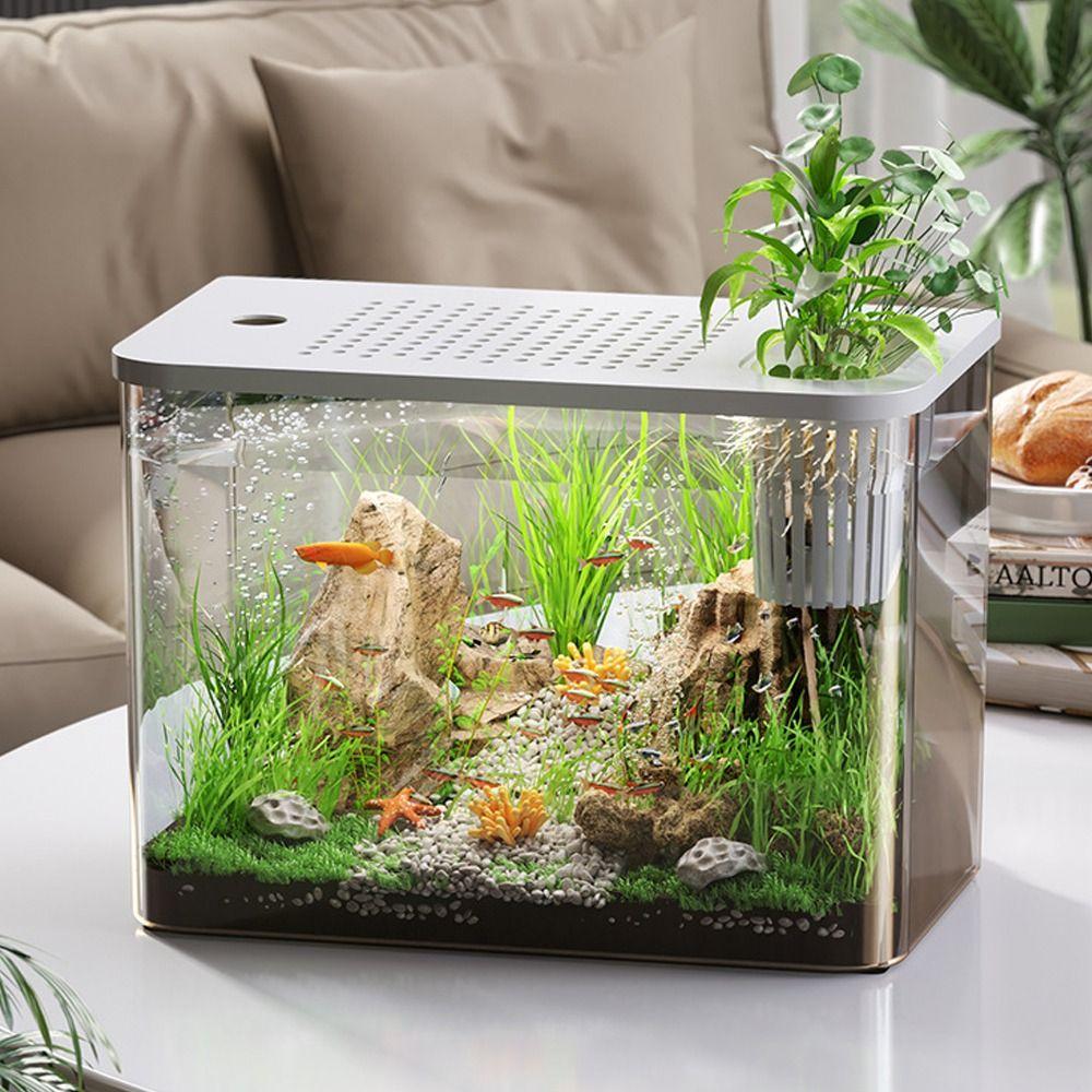 Transparent Desktop Aquarium with Lid Turtle Tank Durable Ecological Water Tank  for Home