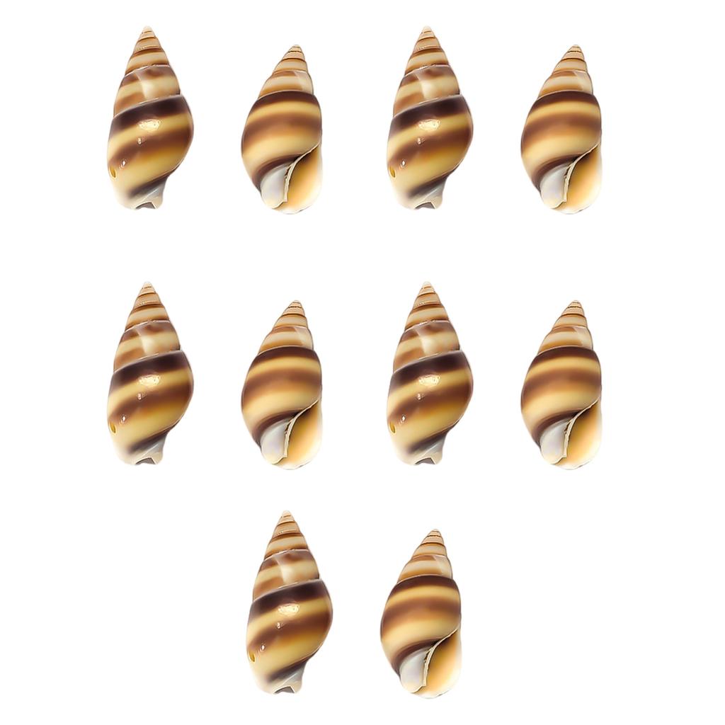 Pack Of 10 Natural Shell Buttons Unique Conch Shape Button Buckles For Fashion Designers And Craft Clothing Project