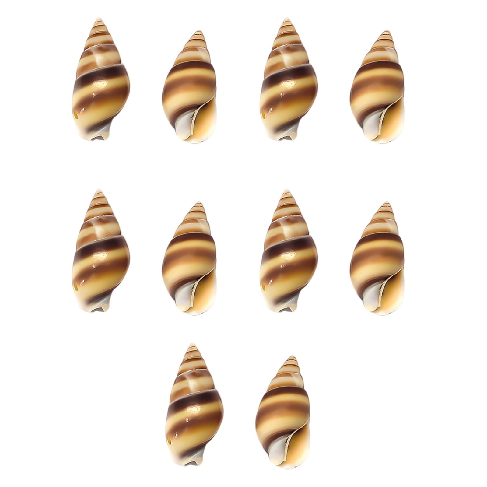 

Pack Of 10 Natural Shell Buttons Unique Conch Shape Button Buckles For Fashion Designers And Craft Clothing Project T1