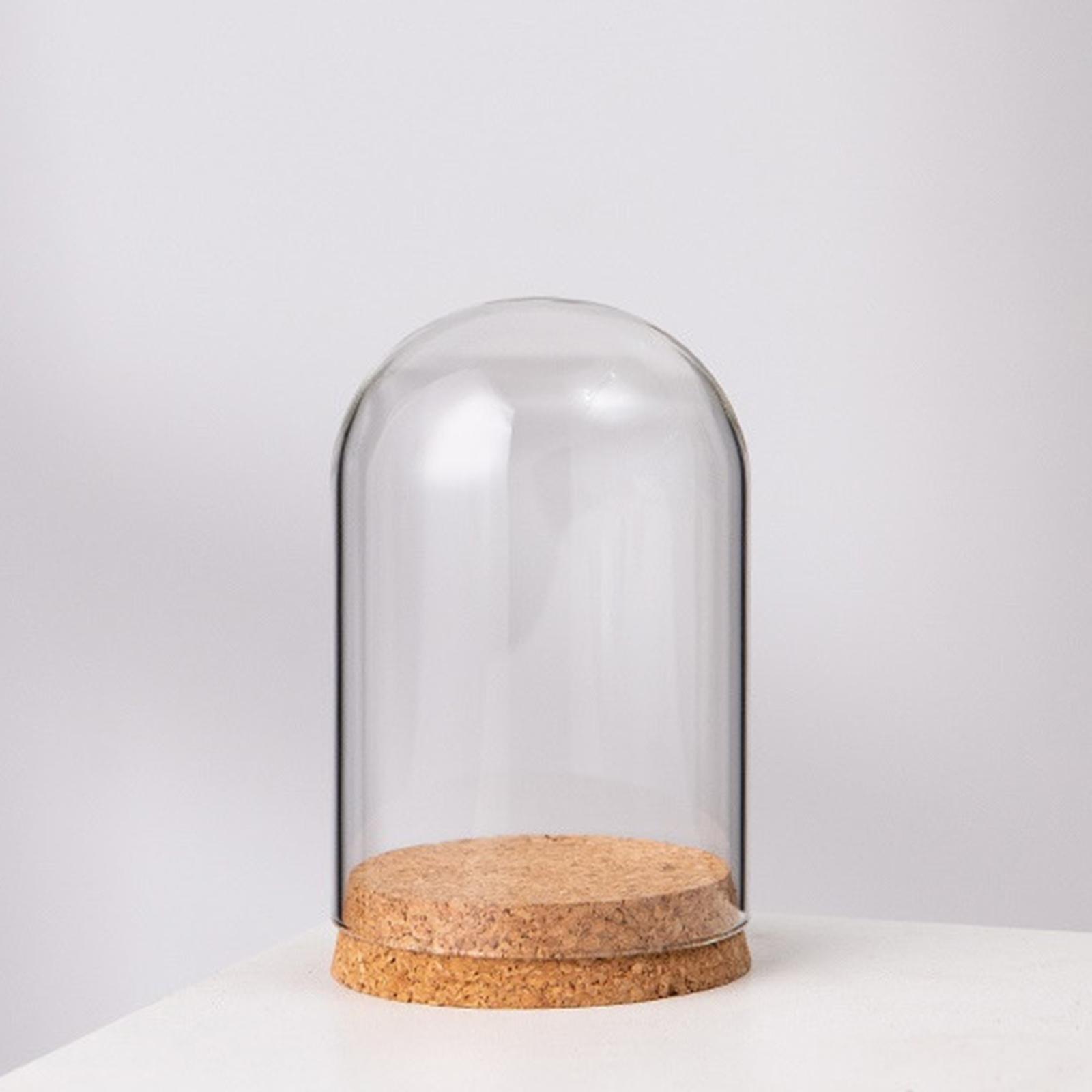 

Cloche Bell Jar Display Dome Case DIY Container Ornament Dome Cloche Cover for Party Desktop Home Office Decoration