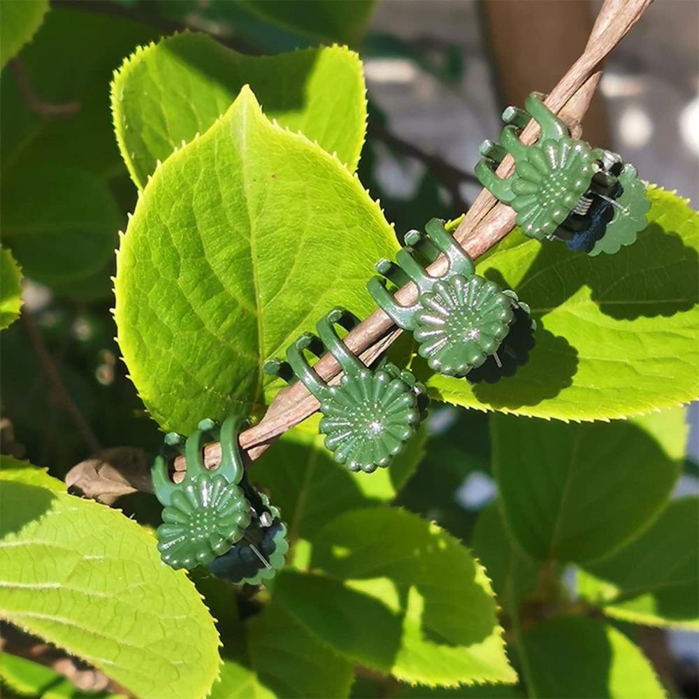 30 Pcs Plant Support Stakes with 30 Pcs Plant Clips Garden Floral Flower Support Single Stem Support Stake for Phalaenopsis Orchid Flower Roses