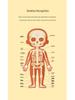 Cartoon Body Puzzle: Fun Educational Toy for Children's Cognitive and Concentration Development