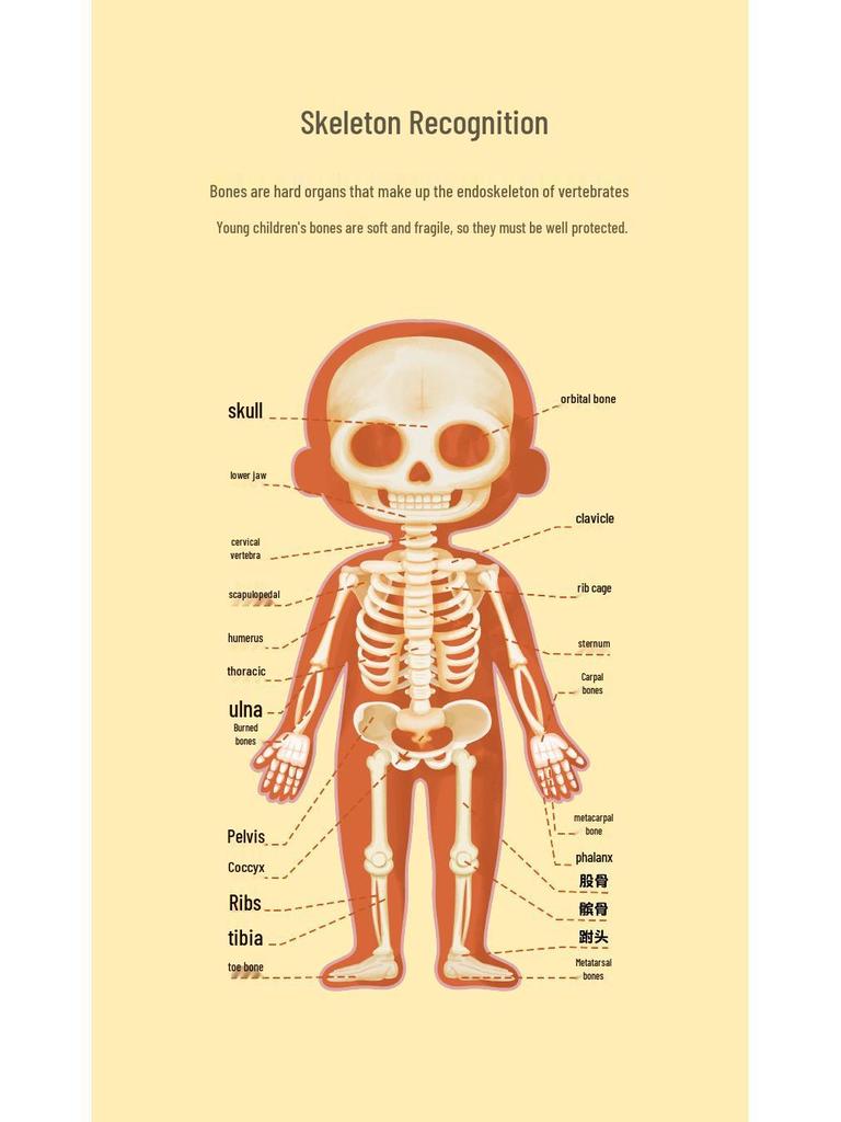 Cartoon Body Puzzle: Fun Educational Toy for Children's Cognitive and Concentration Development