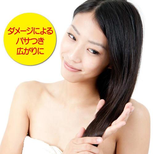 Rossi Moist Aid Oil Hair Treatment Horse Oil Treatment 270g (x 1)