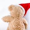 [USED] Steiff Teddy Bear Santa Fynn |1552|
