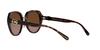 Coach Dark Tortoise Sunglasses Size 55 Women's HC8331,