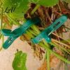 Elastic Plastic Plant Clips 20Pcs Support Clips Gentle Clamps Greenhouse Holders Tomato Cage for Climbing Vines Flowers Stems Professional Clamps