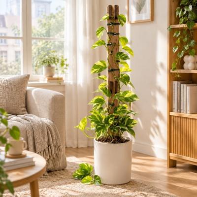 Hollow Out Plant Climbing Trellis Extendable Plant Fixed Frame Flower Arrangement Trellis  Indoor