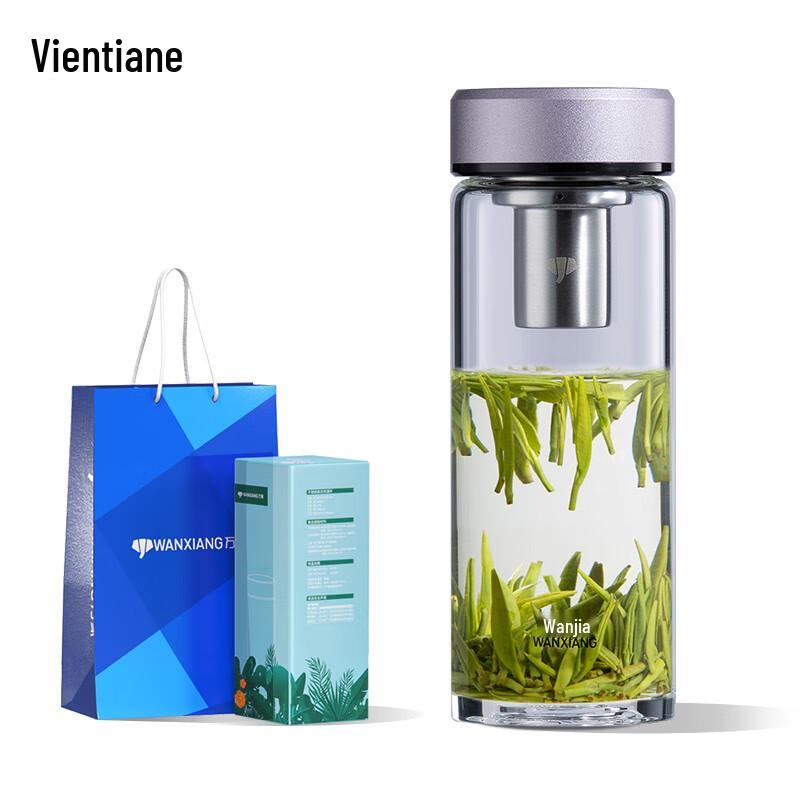 Wanyou Portable High Borosilicate Glass Tea Tumbler with Infuser