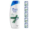 Head & Shoulders Anti-Dandruff Itch Care Shampoo