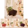 Adorable Alpaca Plush Doll Toy Featuring Lovely Small Sheep Design In Various Colors