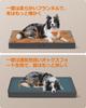 FEANDREA Washable Dog Versatile Pet 105x73x10cm Bed, Summer, Fluffy, Non-Slip, Clean, Bed, (PGW243G01)