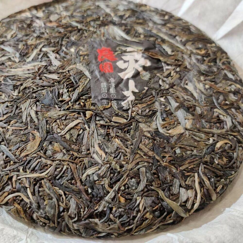 Haiwan The Gathering of Plant Spirit Raw Puer Excellent Shen Puerh Tea 400g