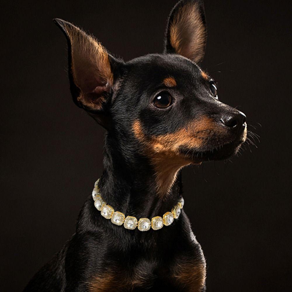 Rhinestone  Dog Chain Collar Zinc Zinc Alloy Pet  Necklace Luxury Shining Pet Collars  Cats