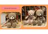 Large Rose Teddy Bear Hugging Doll Plush Toy - Big Panda Cushion