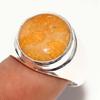 Man'S Round Fossil Coral Fine Finish 925 Silver Plated Ring US 8.5 Trendy Y0G94
