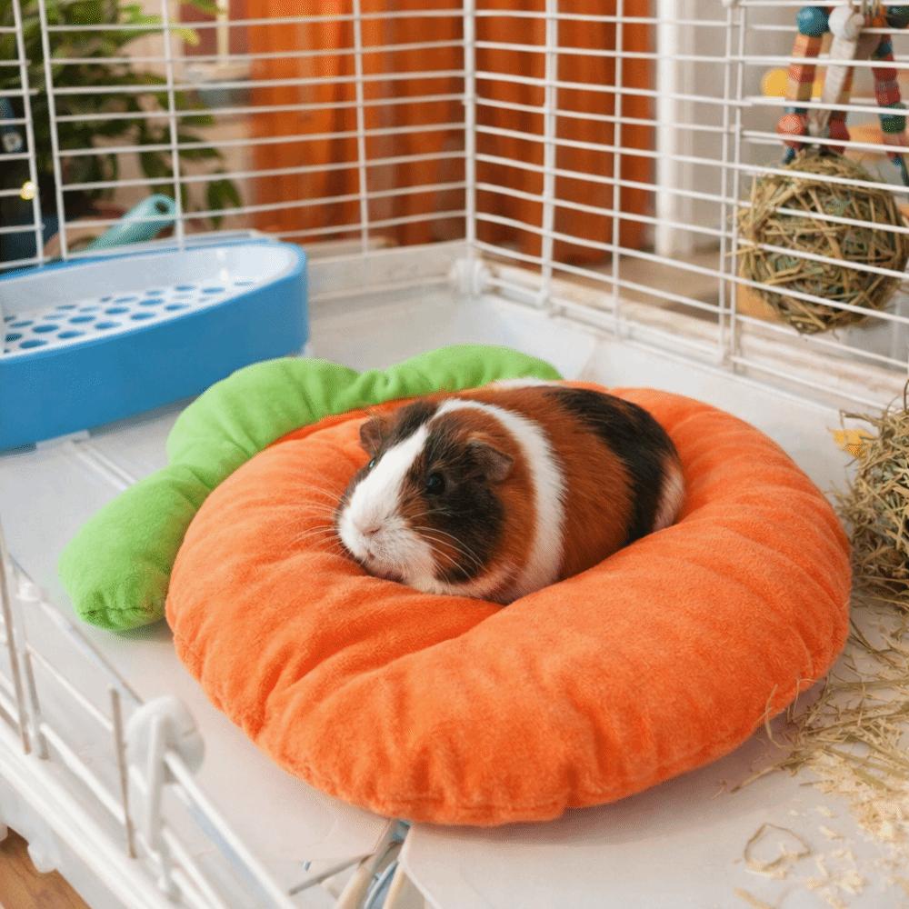Cartoon Carrot Shaped Rabbit Mat Breathable Kitty Sofa Bed Hamster Cage Bed for Hamster Kitty