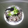 Round Waterproof LED Fish Tank Light for Aquatic Plants and Color Enhancement