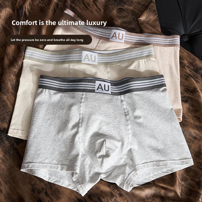 Plus Size Men's Spring and Summer Pure Cotton 10A Antibacterial Breathable Briefs