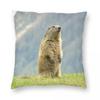 Marmot Ground Squirrel Square Pillowcase Polyester Linen Velvet Creative Zip Decorative Bed Cushion Cover