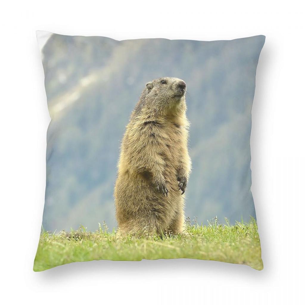 Marmot Ground Squirrel Square Pillowcase Polyester Linen Velvet Creative Zip Decorative Bed Cushion Cover