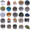 Natural Pheasant Feathers Peacock Feather Eagle Small Plume Handicraft Accessories Jewelry Creation Holiday Decoration