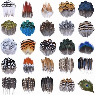 Natural Pheasant Feathers Peacock Feather Eagle Small Plume Handicraft Accessories Jewelry Creation Holiday Decoration