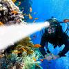 Waterproof Headlight 800LM Diving Headlight Professional LED Scuba Dive To A Depth of 30 Meters Dive Head Torch IPX8 Divinglight