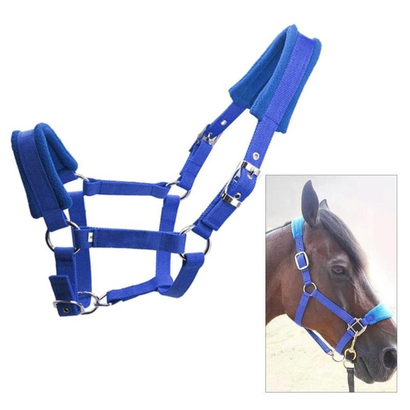 Durability Metal Eye Hook Horse Headgear For Secure Cycling And Training With Rustproofed Stable Bridle Hardware