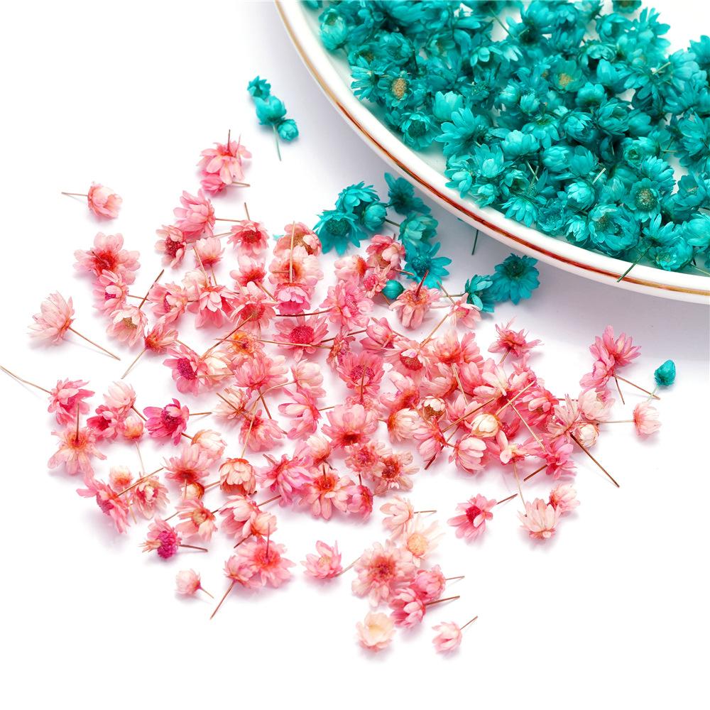 5mm~ 8mm Bags of Dried Flowers, Natural Little Star Flower Head, Handmade DIY Group Fan Crystal Epoxy Decorative Dried Flowers