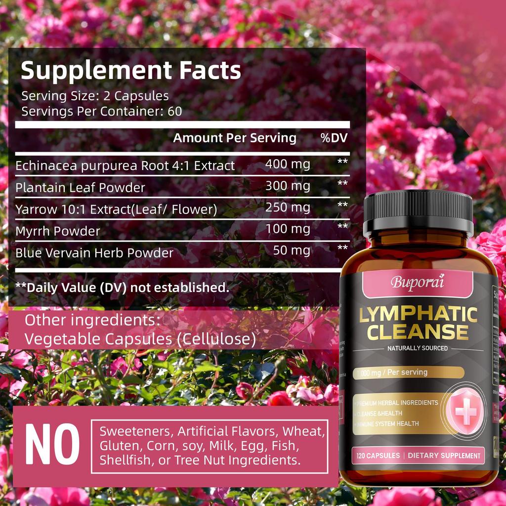 Lymphatic Cleanse - Echinacea - Lymph Node Detox Cleanse Lymph System Drainage