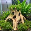 Tronco d'Albero Naturale Legno di Deriva Acquari Serbatoi per Pesci Rettili Cilindro Radice Pianta Legno Decorazione Ornamento Accessorio Acquari