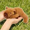 Bebek ve Peluş Oyuncaklar – Doldurulmuş ve Peluş oyuncak hayvanlar
