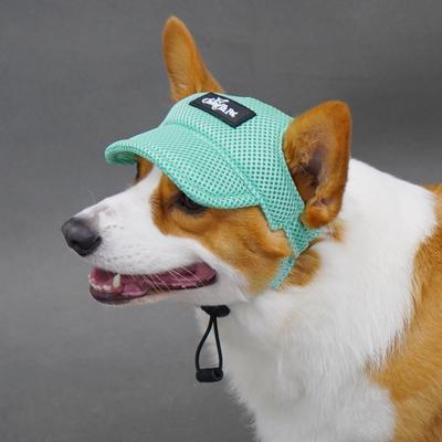 Abbigliamento e scarpe – Cappelli per cani