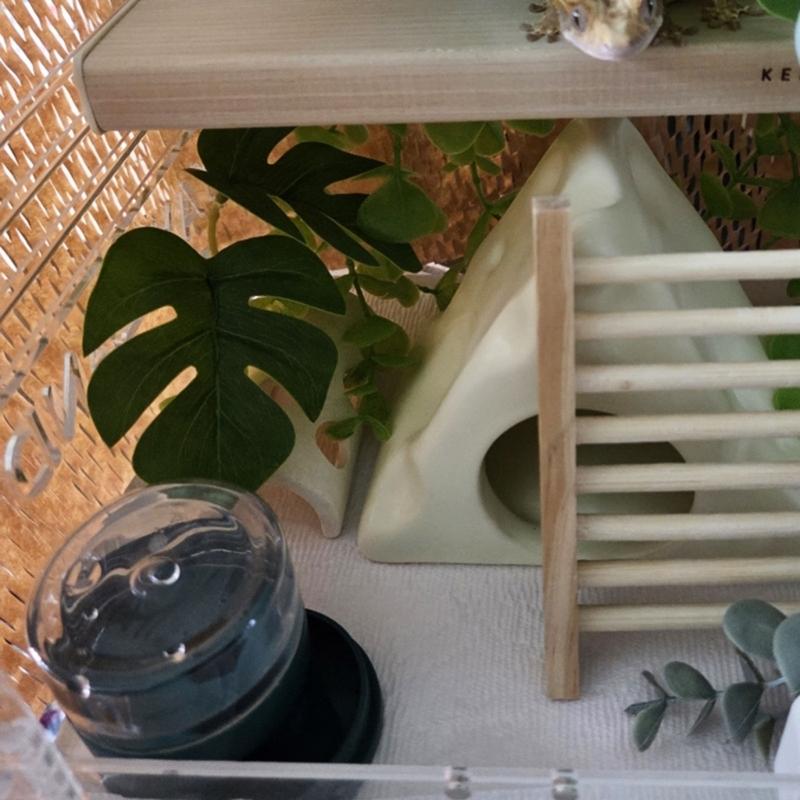 Transparent Reptiles Water Feeder With Automatic Water Refilling Space Efficient Design Technology
