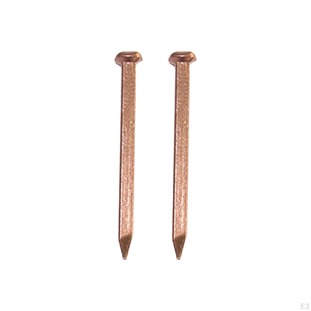 10 Pack Copper Nails for Home Projects And Landscaping Slate Spikes