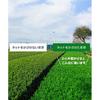 Shizuoka Prefecture Kakegawa Production First Harvest Tea 100 Green Leaves Deep Steamed Kabuse Covered Superior 100gExtreme 1 Bag