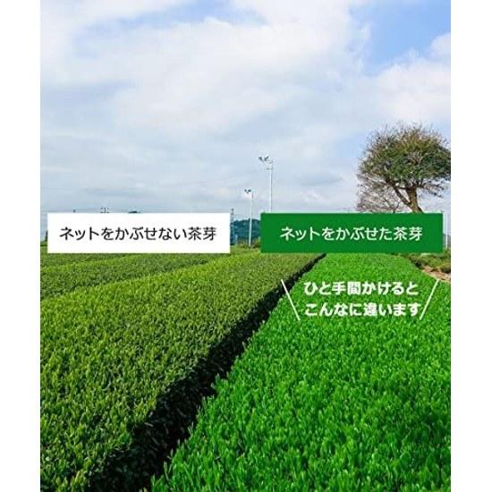 Shizuoka Prefecture Kakegawa Production First Harvest Tea 100 Green Leaves Deep Steamed Kabuse Covered Superior 100gExtreme 1 Bag