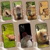 Animal Capybara Case For Samsung Galaxy A35 A55 A25 A15 A51 A71 A12 A32 A52 A13 A33 A53 A14 A34 A54 Cover