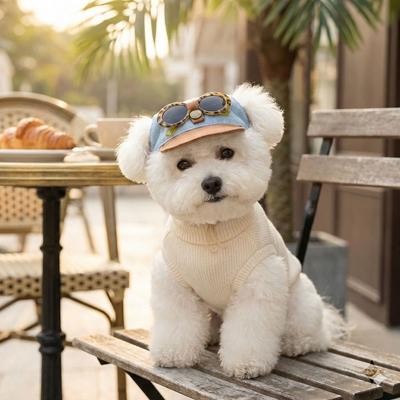 Vêtements et chaussures – Bonnets pour chien