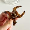 Elegant Korean Design Small Hair Claw Clip Chic Classy Hair Accessory Perfect For Everyday Use