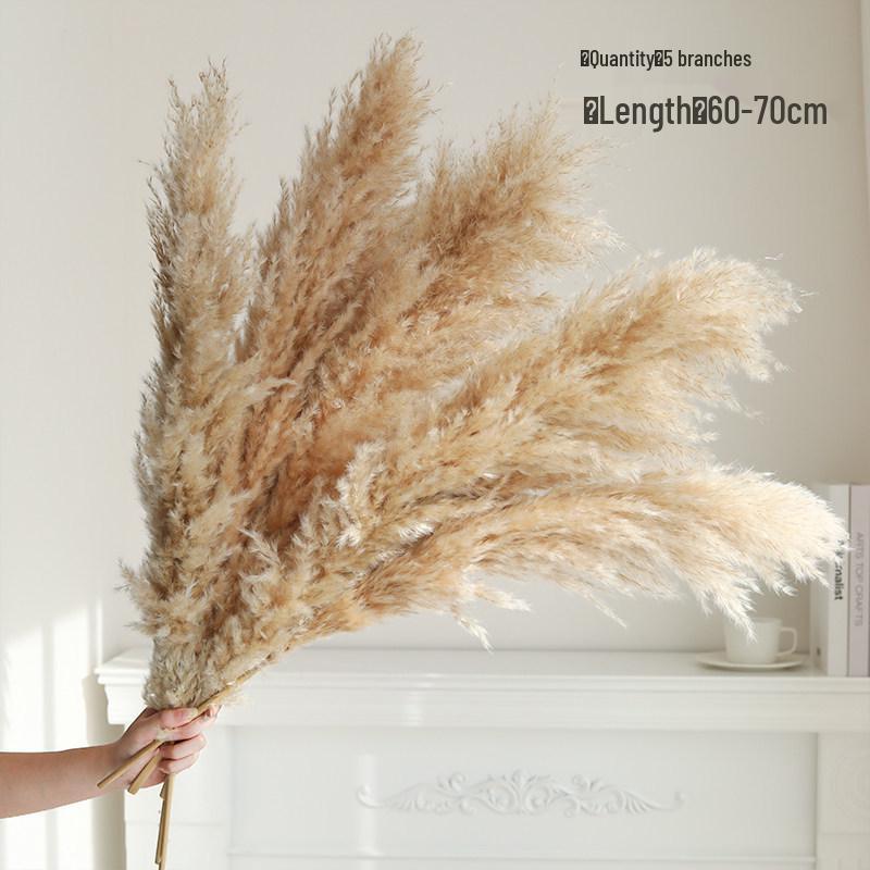 Natural Air-Dried Reed and Cattail Flower Bouquet for Floor Vase Decoration