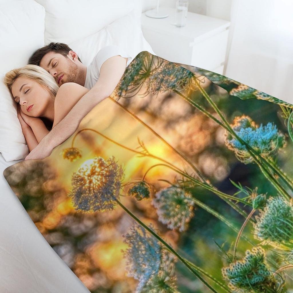 Sonnenuntergang hinter Wilder Möhre Überwurfdecke Decken für Baby Sofabett Extra Großer Überwurf Weiche Decken