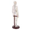 20.5 Inch Acupuncture Model Accurate Full Body Human Acupoint Model with Base Rotatable Arms for Teaching Student Demonstration White Hard